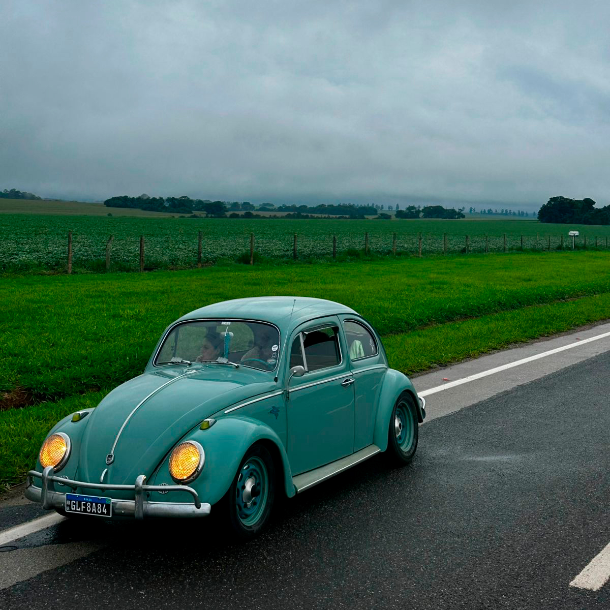 Fusca Monocromático